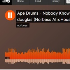 Ape Drums - Nobody Knows ft. Alicia Keys (Norbess remix)
