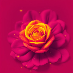 ROSE D’OR