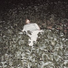 Lost