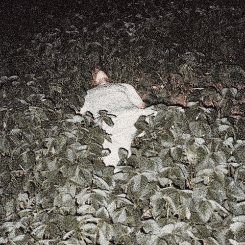 Lost