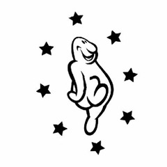 Magic Garden @ Techno Parade (1999)