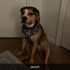 Tizzy - Triton the dog ft. Wocky Wock