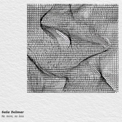 Indefinite Pitch PREMIERES. Saša Delimar - A Warm Welcome [Liminal Spaces]