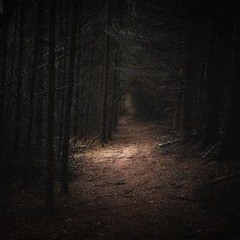darkwoods
