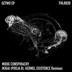 PREMIERE | Moog Conspiracy - Oztwo [FHLR030]