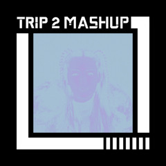 The Days - Chrystal x CID (TRIP 2 MASHUP)