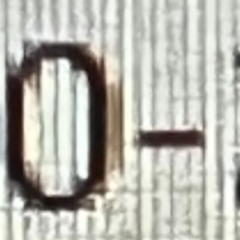 251025