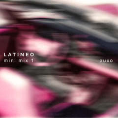 LATINEO minimix 1 • PUXO