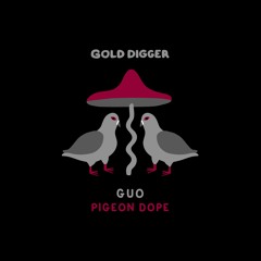 Guo - Pigeon Dope [Gold Digger]