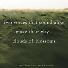 OneAmbient4 - Two Voices Make Their Way... (Navairhaiku 347)