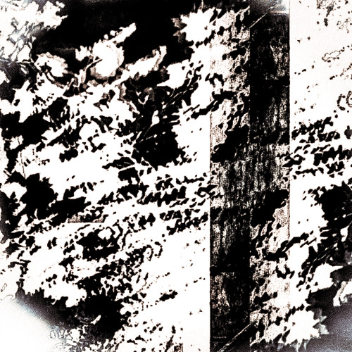 COMPARE (instrumental)