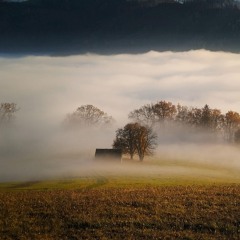 Wonderful Meadow View