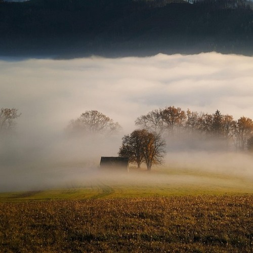 Wonderful Meadow View