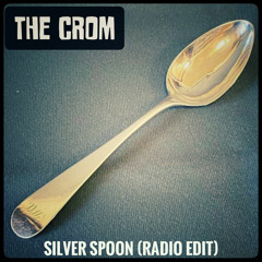 Silver Spoon (Radio Edit)