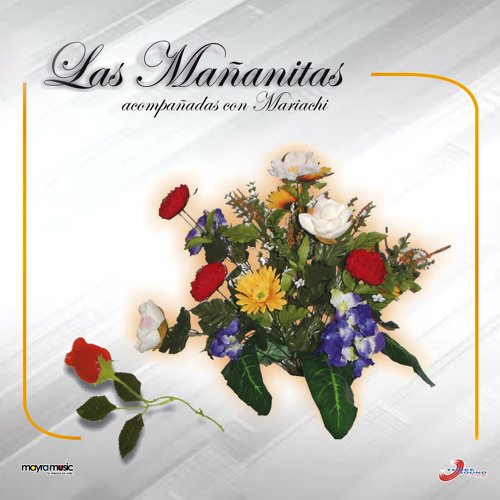 Stream Mañanitas a mi padre by Las Mananitas | Listen online for free on  SoundCloud