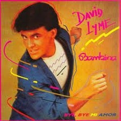 David Lyme - Bambina ( Pete Wood 2025 Edit )
