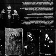 Black Noise