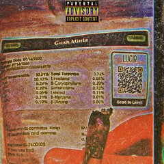 gush mints (prod.Spvceless)