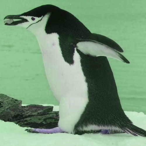 Stream Basshunter Dota Hardstyle Bootleg Slowed By Syynimaa Listen