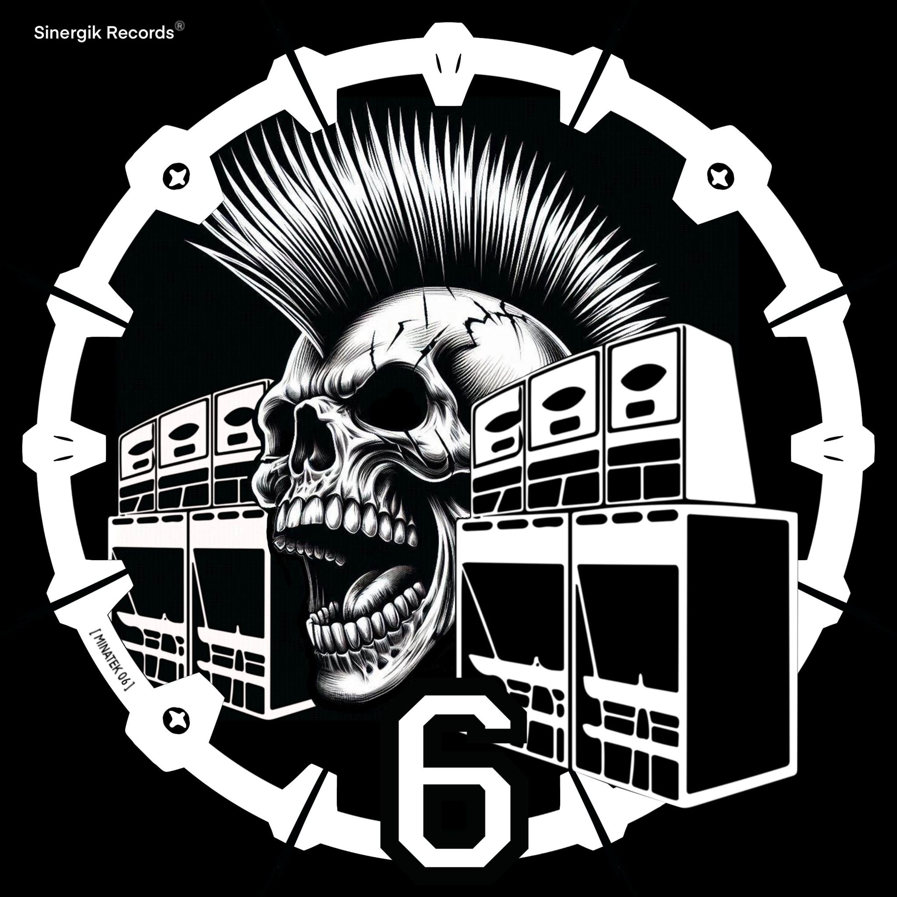 SINERGIK RECORDS ²³