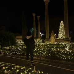 Fallacy (cpr trashboat)