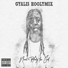 NHTG - GYALIS HOOLYMIX