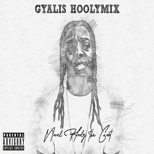 NHTG - GYALIS HOOLYMIX