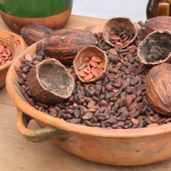 S1 Ep3 - Ancient Maya Foodways (w/ Dr. Shanti Morell-Hart)