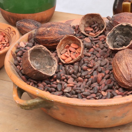 S1 Ep3 - Ancient Maya Foodways (w/ Dr. Shanti Morell-Hart)