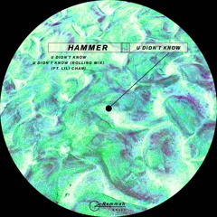 Premiere: Hammer ft. Lili Chan - U Didn't Know [Remmah]