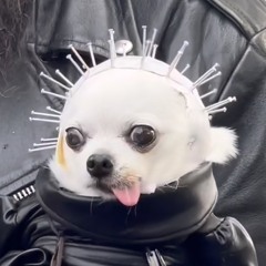 dark techno shit