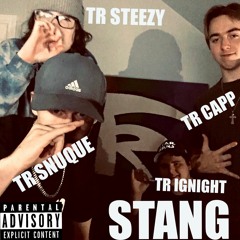 Stang (feat. TR Steezy, TRig Night, TR Atlas)