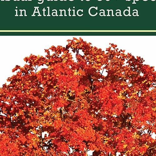 Stream DOWNLOAD pdf East Coast Trees Shrubs A Visual Guide To 50 stream-download-pdf-east-coast-trees-shrubs-a-visual-guide-to-50