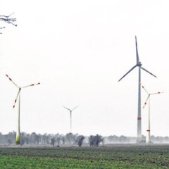 Im Windpark - 2024/05/02 - Königsmoor