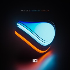 Ferice - Can't Go (No Can Do) [Premiere]