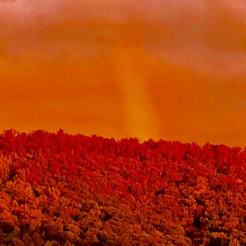 n.p.
