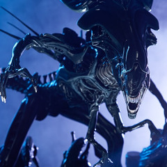 MONEY ON THE PHONE (Juniper.exe)