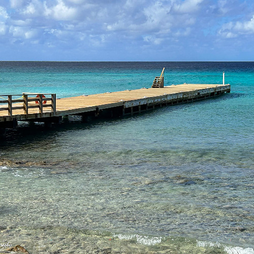 She'd Come to Me - Right on Time