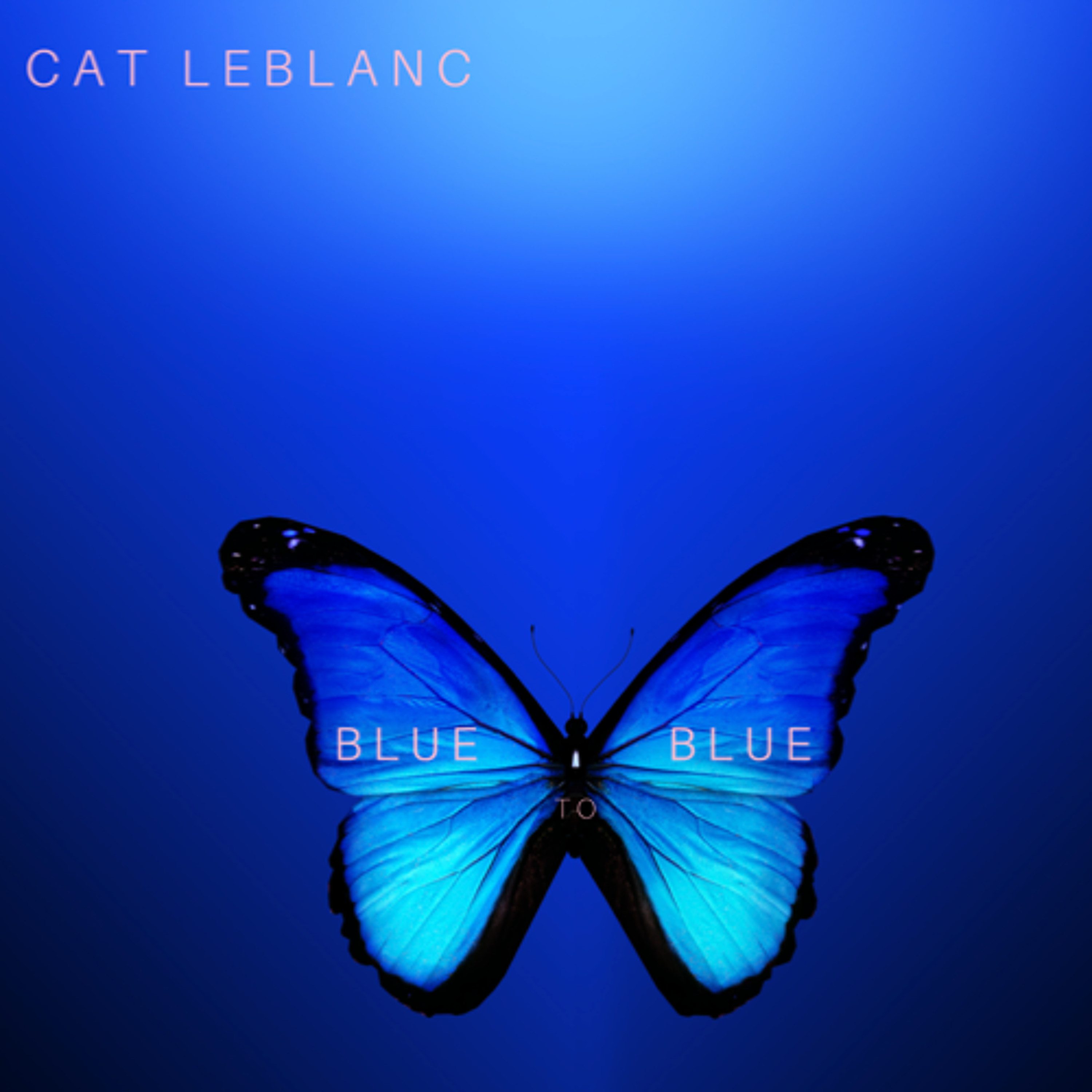Blue to Blue episode artwork