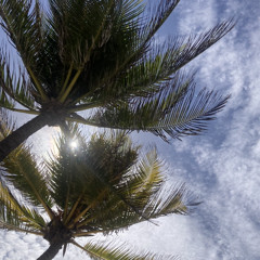 Summer Promo Mix 2024