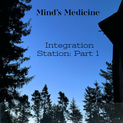 Integration Station: Part 1 (MKR005)