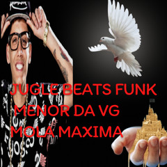 FUNK MENOR DA VG MOLA MAXIMA JUNGLE BEATS - p0P edition remix limited