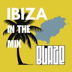 Ministry of Breaks Ibiza 2025 Mix 8