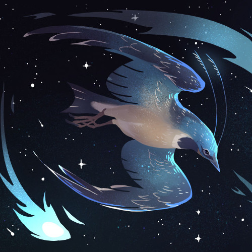 Current Status - Lumilee