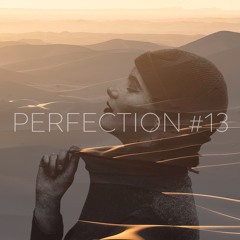 PERFECTION #13