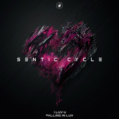 Sentic Cycle - Fallin In Luv