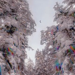 Trip in Snowland - Frenchcore Uptempo
