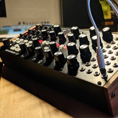 Evolution | Subharmonicon