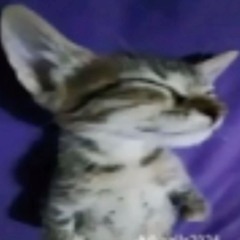 Copy of Related tracks: feel good clara la san