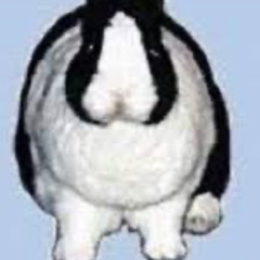 Big Huge Thumper